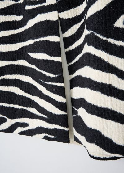 Dries van Noten Black-and-white zebra-print Shea skirt