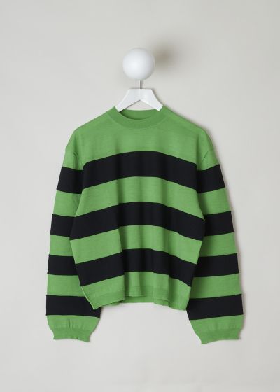 Sofie d’Hoore Green and black striped sweater photo 2